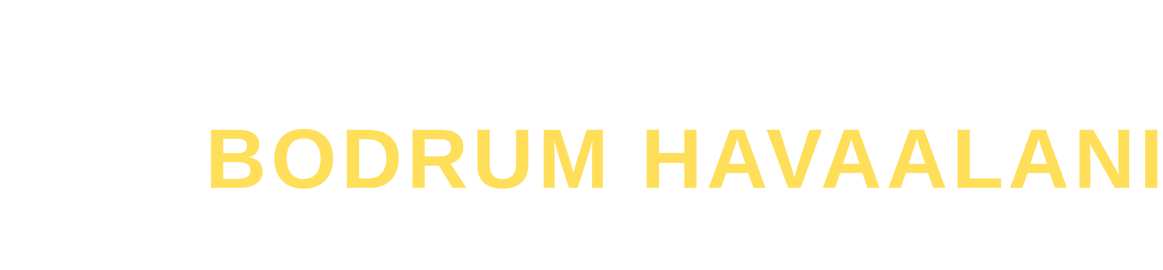 Footer Logo